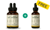 Buy 2, Get 1 FREE